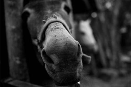 Paraje Monumento Natural Los Infiernos