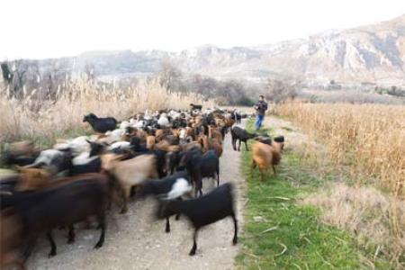 Paraje Los Infiernos