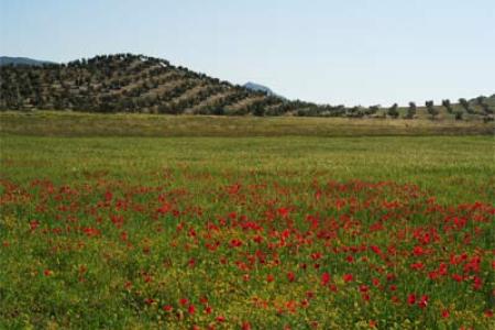 Camino Venta del Rayo