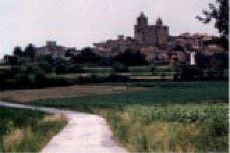 En un camino hacia Madremanya