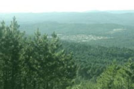 Navaleno visto desde su pinar.