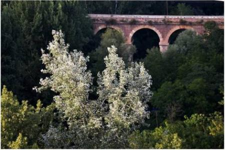 Puente antiguo de Dúrcal.