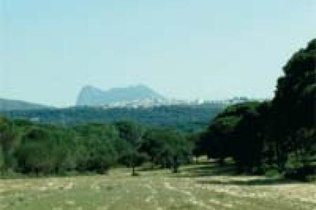 San Roque y el Peñón