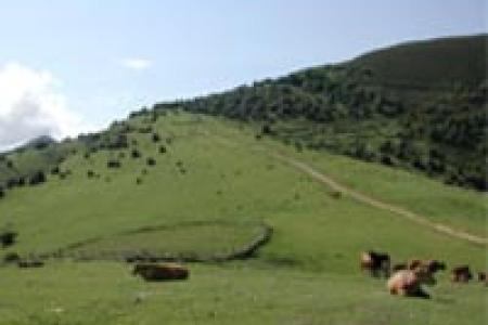 Puerto de San Lorenzo