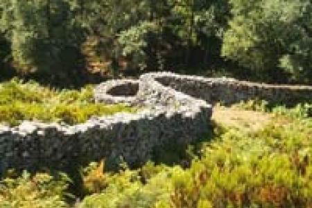 Caza del Lobo