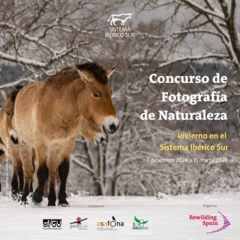 Primera edición del Concurso de Fotografía de Naturaleza ‘Invierno en el Sistema Ibérico Sur’