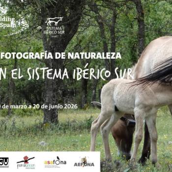 Concurso de Fotografía de Naturaleza ‘Primavera en el Sistema Ibérico Sur’