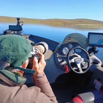 Top Birding on a boat