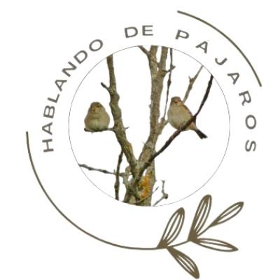 www.hablandodepajaros.es