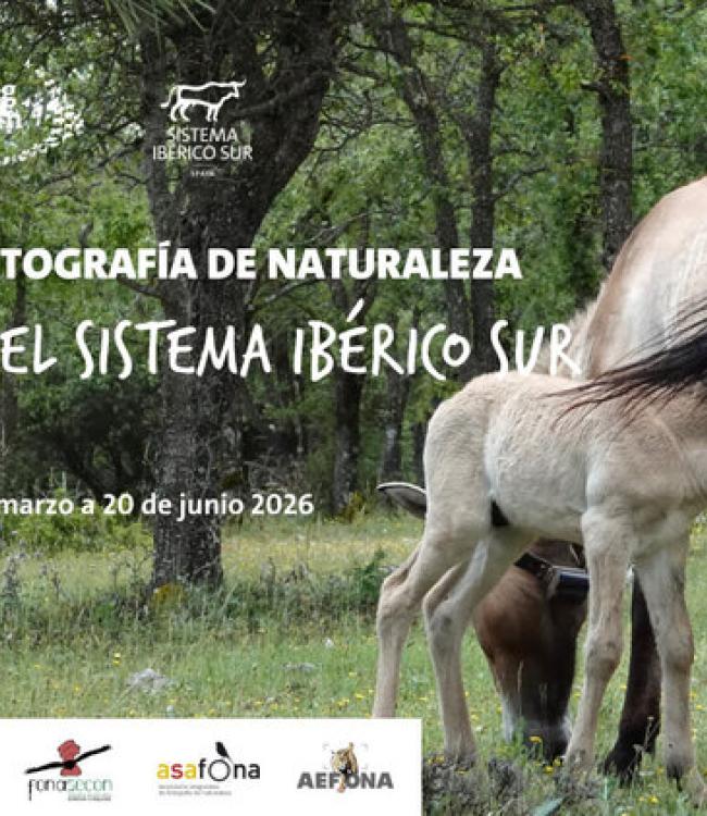 Concurso de Fotografía de Naturaleza ‘Primavera en el Sistema Ibérico Sur’