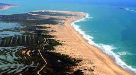Parque natural de la Bahía de Cádiz. 