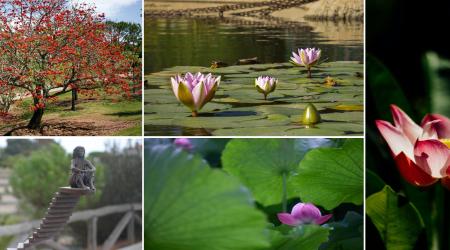 Parque botánico Celestino Mutis: Un oasis de biodiversidad en Huelva