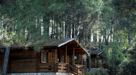 Cabañas Llano de los Conejos | Rodeadas de Naturaleza