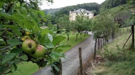 Agroturismo Palacio San Narciso