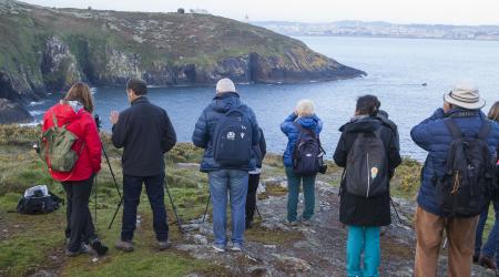 Finaliza con éxito NatureWatch Galicia 2022