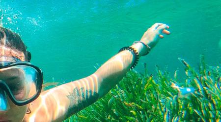 'Vive la Posidonia' 