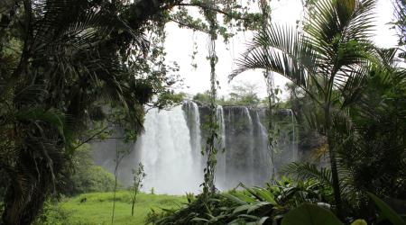  Reserva de la Biosfera Los Tuxtlas // Crédito: Gobierno de México