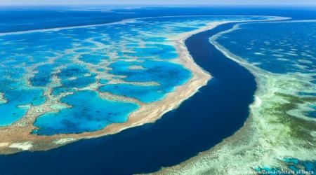 Gran Barrera de Arrecifes de Australia // Crédito: dw.com