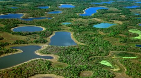 El Pantanal, Brasil // Crédito: expreso.info