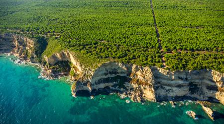 Parque Natural La Breña y Marismas de Babarte 