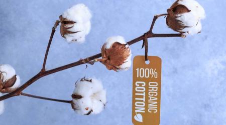 The Anti-Brand, nueva marca sostenible 