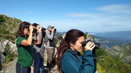Los mejores lugares de Asturias para la observación de aves 
