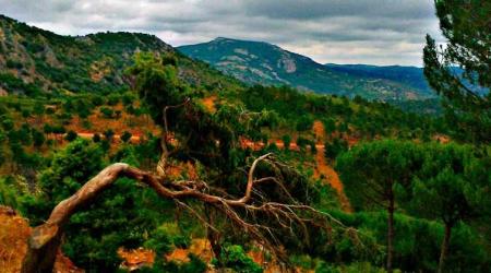 Parque Natural de Despeñaperros 