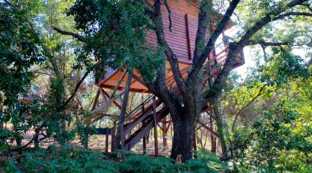 Nueva tendencia viajera para 2023: los ecolodges