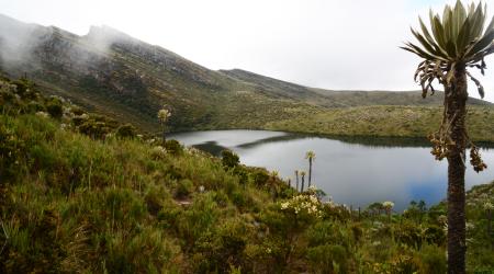  Parque Nacional Natural Chingaza, Colombia // Crédito: parquesnacionales.gov.co