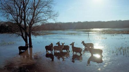 Humedal de Salburua, Vitoria // Crédito: turismovitoria.org