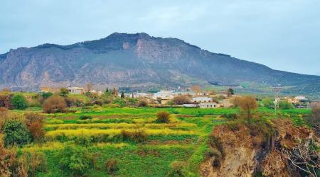 Paisaje del  Camino andaluz de Washington Irving // Crédito: Al Ándalus Ecoturismo