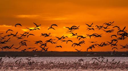 Crédito: Huelva Experiences