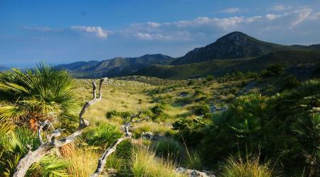 Parque natural del Llevant, Mallorca // Crédito: Balears Natura