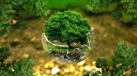 Día Mundial de la Naturaleza