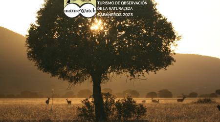 El bosque mediterráneo, protagonista del próximo NatureWatch