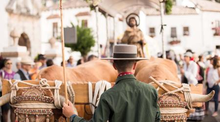 Mejores destinos para disfrutar de una romería por San Isidro Labrador