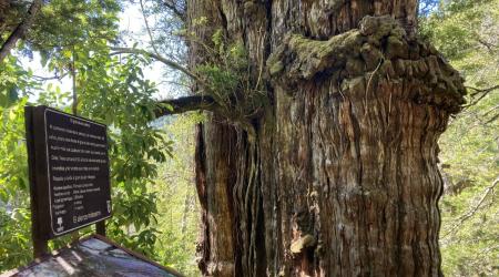 Crédito: Patagonia Andina