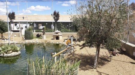 Crédito: La Era de las Aves