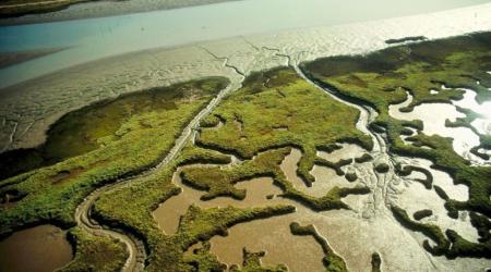 Crédito: Turismo de Andalucía 