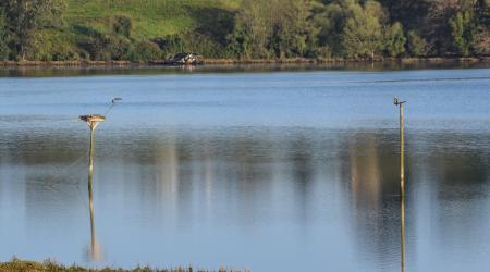 Marina de Cudeyo recibe una certificación oficial de Naciones Unidas
