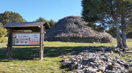 Crédito:  Áreas Protegidas de Castilla-La Mancha 
