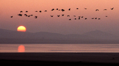 Día de los Humedales 