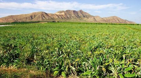 Crédito: Turismo Región de Murcia