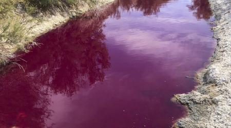 Crédito:  EFE/ Agentes Forestales De La Comunidad De Madrid