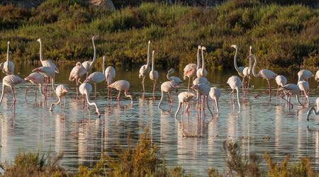 Crédito: Turismo Santa Pola