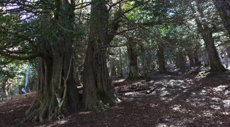 Crédito: Palencia Turismo 