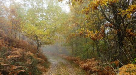 Crédito: Sierra Norte de Madrid 