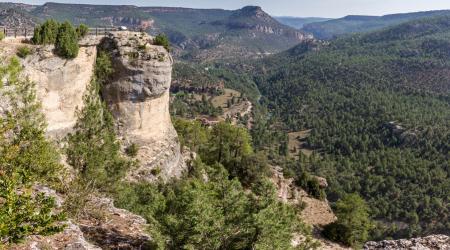 Parque Natural Alto Tajo en Guadalajara 