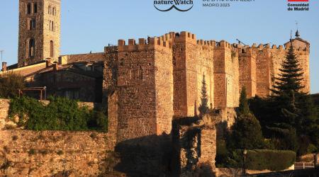 Sierra Norte de Madrid, nuevo escenario natureWatch