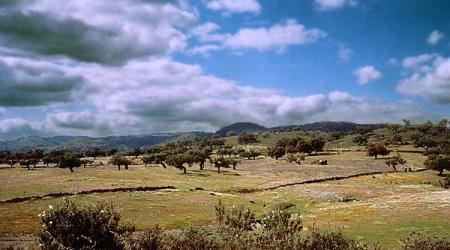 Actividades en la Reserva de la Biosfera Dehesas de Sierra Morena